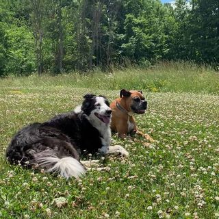 Profile Picture of Corey Harmer (@corey.harmer.980) on Facebook