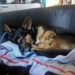 Profile Picture of Mickael Lallain (@mickael.lallain.982) on Facebook