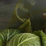 Profile Picture of Kirill Pauls (@pauls_kimilw1995) on Instagram