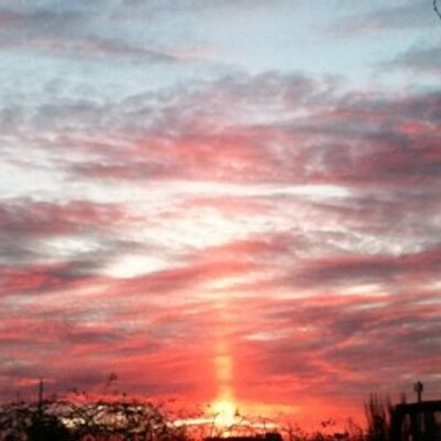 Profile Picture of Rachael Montoya (@MontoyaRachael) on Twitter