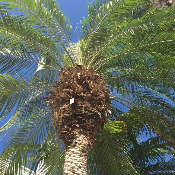 Profile Picture of Adam Daniels (@adamdaniels2) on Poshmark