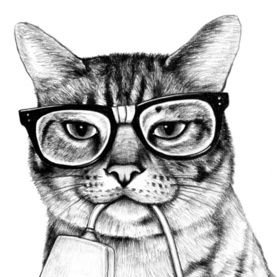 Profile Picture of Nathan Hardman (@nathanhardman90) on Twitter