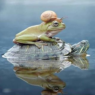 Profile Picture of Albert Brown (@albert.brown.940) on Facebook