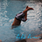 Profile Picture of Ali Al Ansari (@Ali Al Ansari) on Flickr