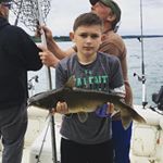Profile Picture of Todd Schneider. (@todd_schneider_) on Instagram