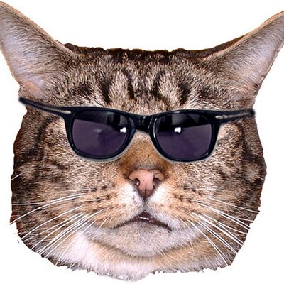 Profile Picture of Julian Ravilious (@Spencer__4) on Twitter