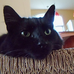 Profile Picture of Catalatic (@catalatic) on Flickr