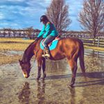 Profile Picture of Amanda Lynn Lemmon (@amandalynn.equestrian) on Instagram