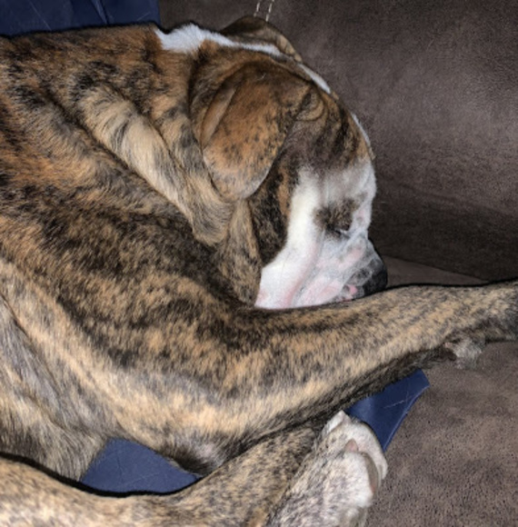 Profile Picture of Aurora Hansen (@love_ong) on Poshmark