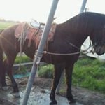 Profile Picture of Fabian Benito (@benito_fabian) on Instagram