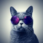 Profile Picture of Nicholas football (@nicholas.bell123) on Instagram