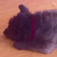 Profile Picture of Tony Soares (@tony-soares-2) on Quora