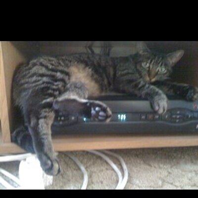 Profile Picture of Joshua Coulson (@joshuacoulson1) on Twitter