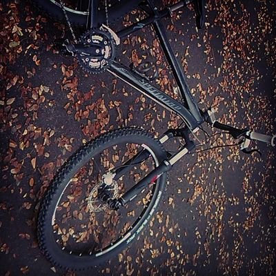 Profile Picture of Steven Aller (@riffersam) on Twitter