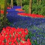 Profile Picture of Debbie O'Hara Schill (@debschill) on Instagram