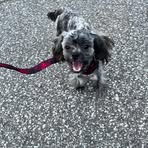 Profile Picture of Grady Hooper (@grady.hooper.923) on Facebook