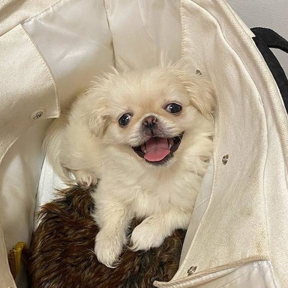 Profile Picture of Robert Halkitis (@bobby228) on Poshmark