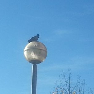 Profile Picture of Albert Oller VALLEJO (@AlbertOllerVal4) on Twitter