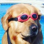 Profile Picture of tiktok time (@steeler.luttrell.but.tiktok) on Instagram