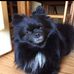 Profile Picture of Mike Silk (@mike.silk.52) on Facebook