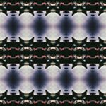 Profile Picture of Tim coyne (@dimsimtim) on Instagram