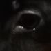 Profile Picture of Adam Kowalewski (@adam.kowalewski.98871) on Facebook