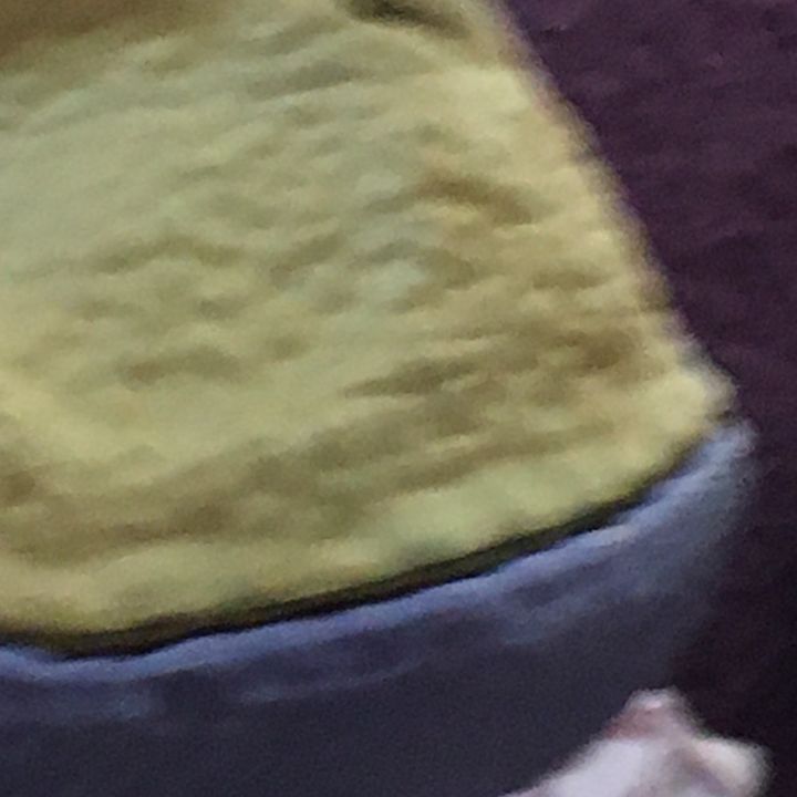 Profile Picture of Single Pringle (@share._bean) on Tiktok