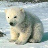 John Blommers - Facebook Profile Picture of John Blommers (@john.blommers.71) on Facebook