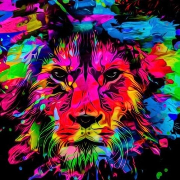 Profile Picture of Alex Fainberg (@alexfainberg) on Poshmark