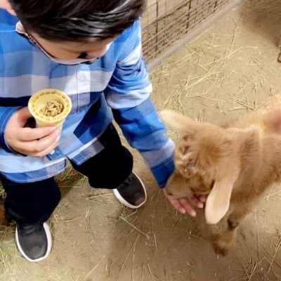 Profile Picture of Brandy Serrano (@JASandMomLife) on Twitter