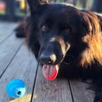 Profile Picture of Trudy Grooms Spencer (@trudy.grooms.7) on Facebook