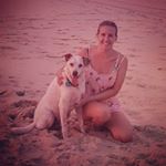 Profile Picture of Lisa Davies (@lisa_and_samthedog) on Instagram