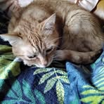 Profile Picture of Isabelle Belinsky (@audrey.bel.3) on Facebook