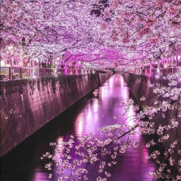 Profile Picture of Ashley Kobeszko (@bruhhashley) on Poshmark