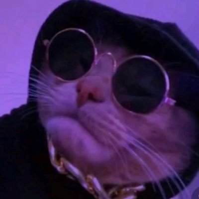 Profile Picture of ECKERT STAN (@ECKERTSTAN2) on Twitter
