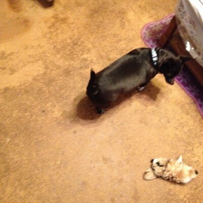 Profile Picture of Eric L. Owenby (@l_owenby) on Twitter