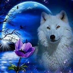 Profile Picture of Adrian Arispe (@adrian_arispe) on Twitter