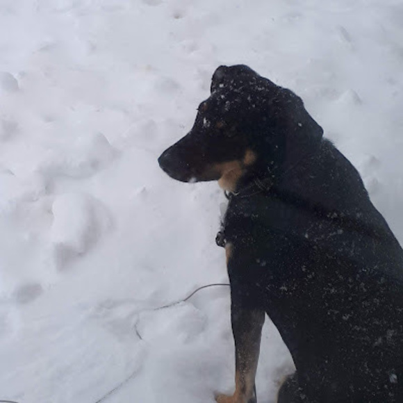 Justine Rheaume - Poshmark Profile Picture of Justine Rheaume (@justinerheaume0) on Poshmark