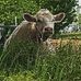 Profile Picture of Susan Audet (@susan.audet.16) on Facebook