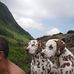 Profile Picture of David Besse (@david.besse.547) on Facebook