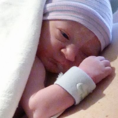 Profile Picture of Beverly Beebe (@BeverlyBeebe1) on Twitter