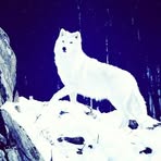 Profile Picture of Zack Hoaglund (@zack.adoodle.7) on Facebook