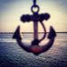 Profile Picture of Jamie Tropp (@jjtropp) on Pinterest