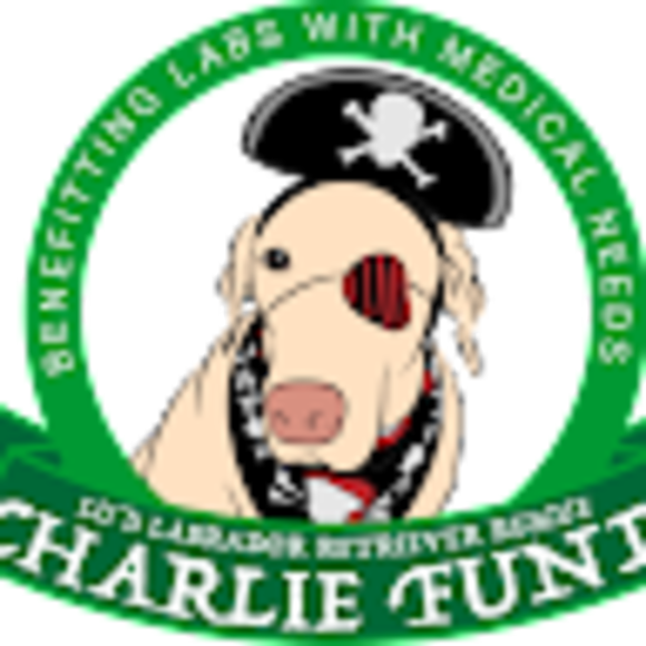 Profile Picture of Michelle Surtees (@m_surtees) on Poshmark