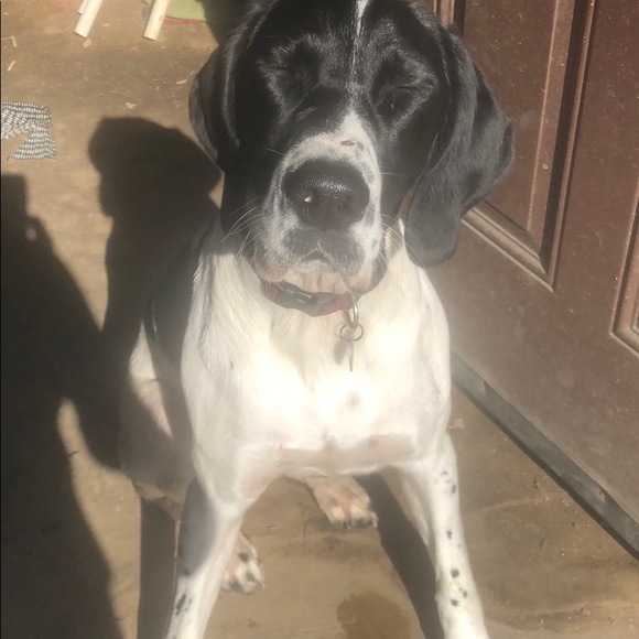 Profile Picture of Azza Kadazza (@azzakadazza) on Poshmark