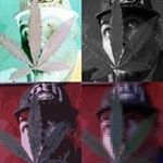 Profile Picture of Sean Lathrop (@lathrops) on Instagram