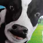 Maximilian Schulte-Stracke - Instagram Profile Picture of Maximilian Schulte-Stracke (@schulte_maximilian) on Instagram