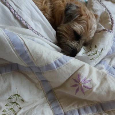 Profile Picture of June Campbell (@Junecam37850628) on Twitter