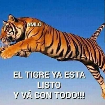 Profile Picture of Rosa Martina Gonzalez Mata (@RosaMartinaGon2) on Twitter