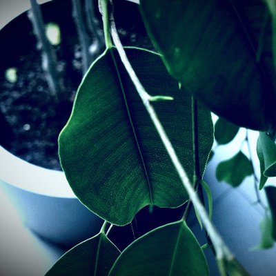 Profile Picture of Chris Alexei (@ChrisAlexei) on Twitter